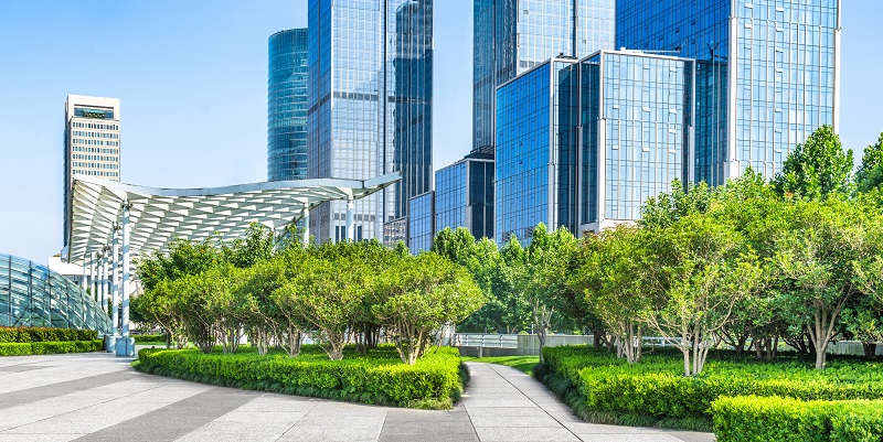 3 Common Issues with Easements img